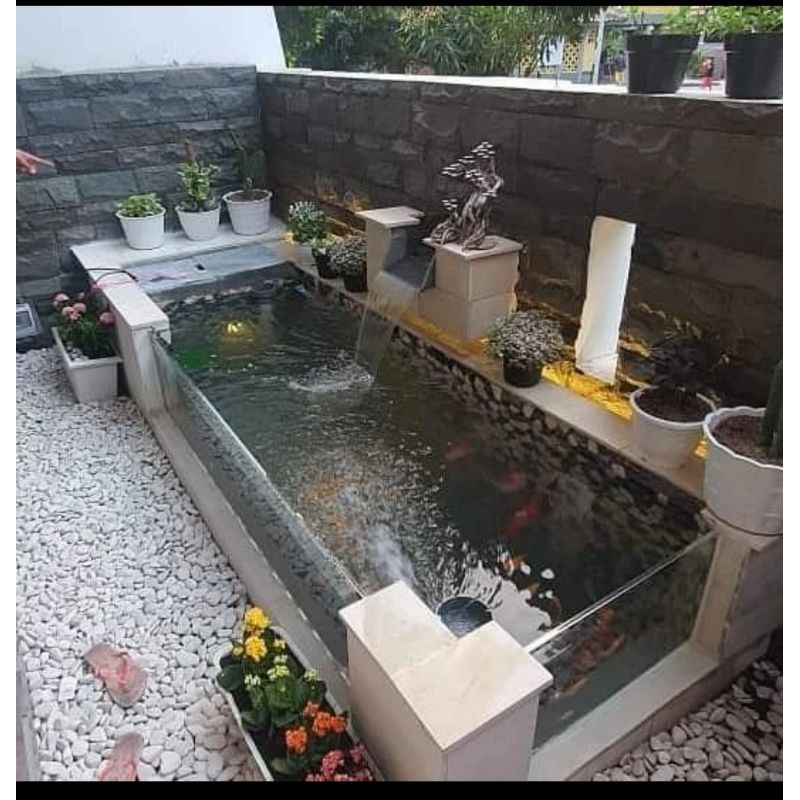 kolam.koi.minimalis+kaca