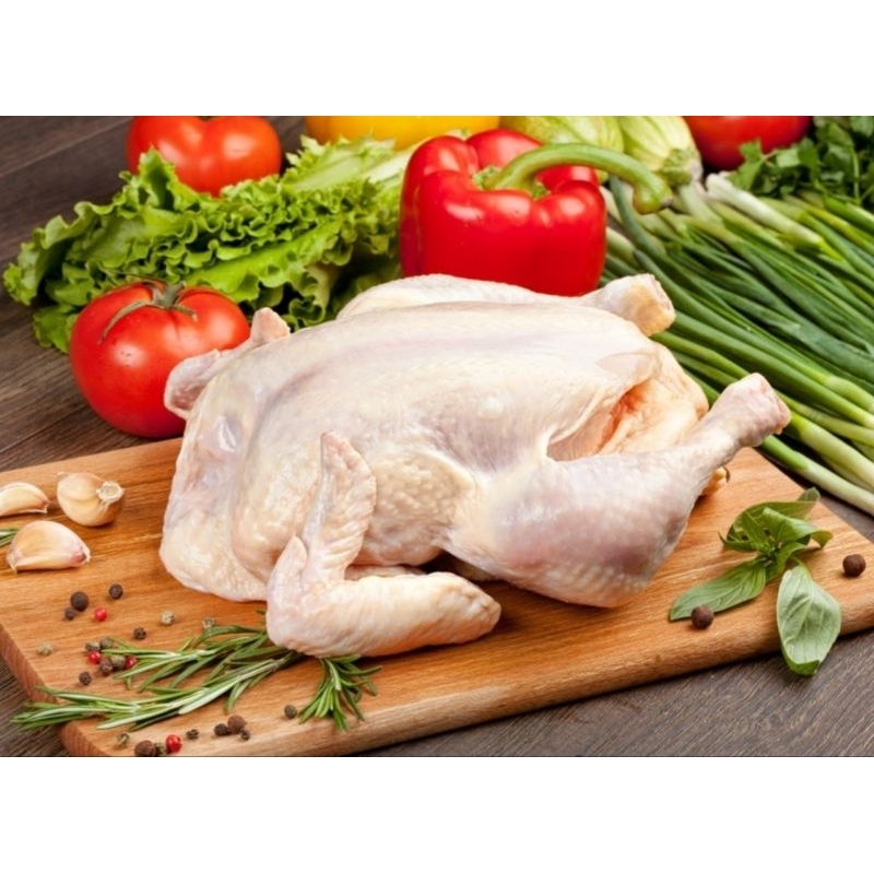 

Ayam Utuh Karkas 0,8 - 1 kg Ayam Broiler Surabaya | Frozen | Beku | Surabaya instan | Makanan