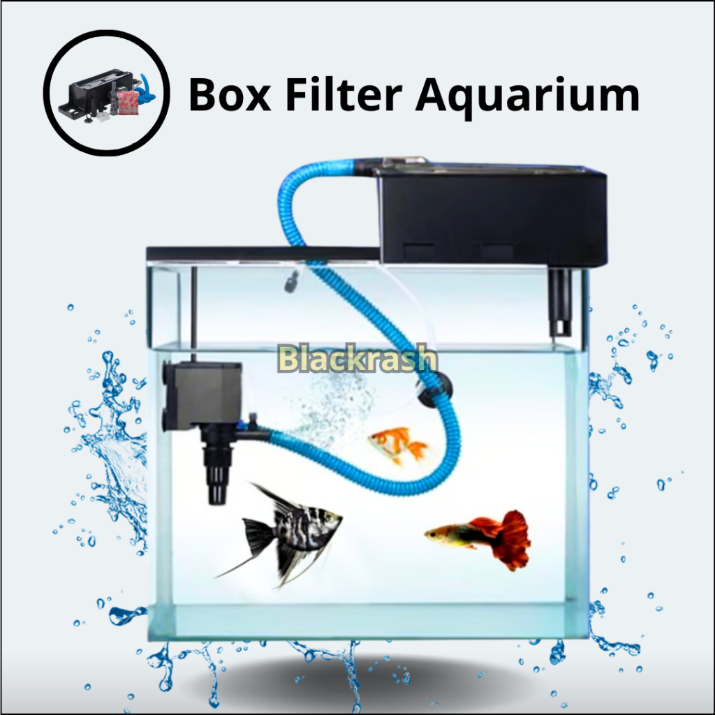 Box Filter Gantung Aquarium Mini Tanpa Kuras 40 60Cm - Paket Lengkap Hemat Listrik