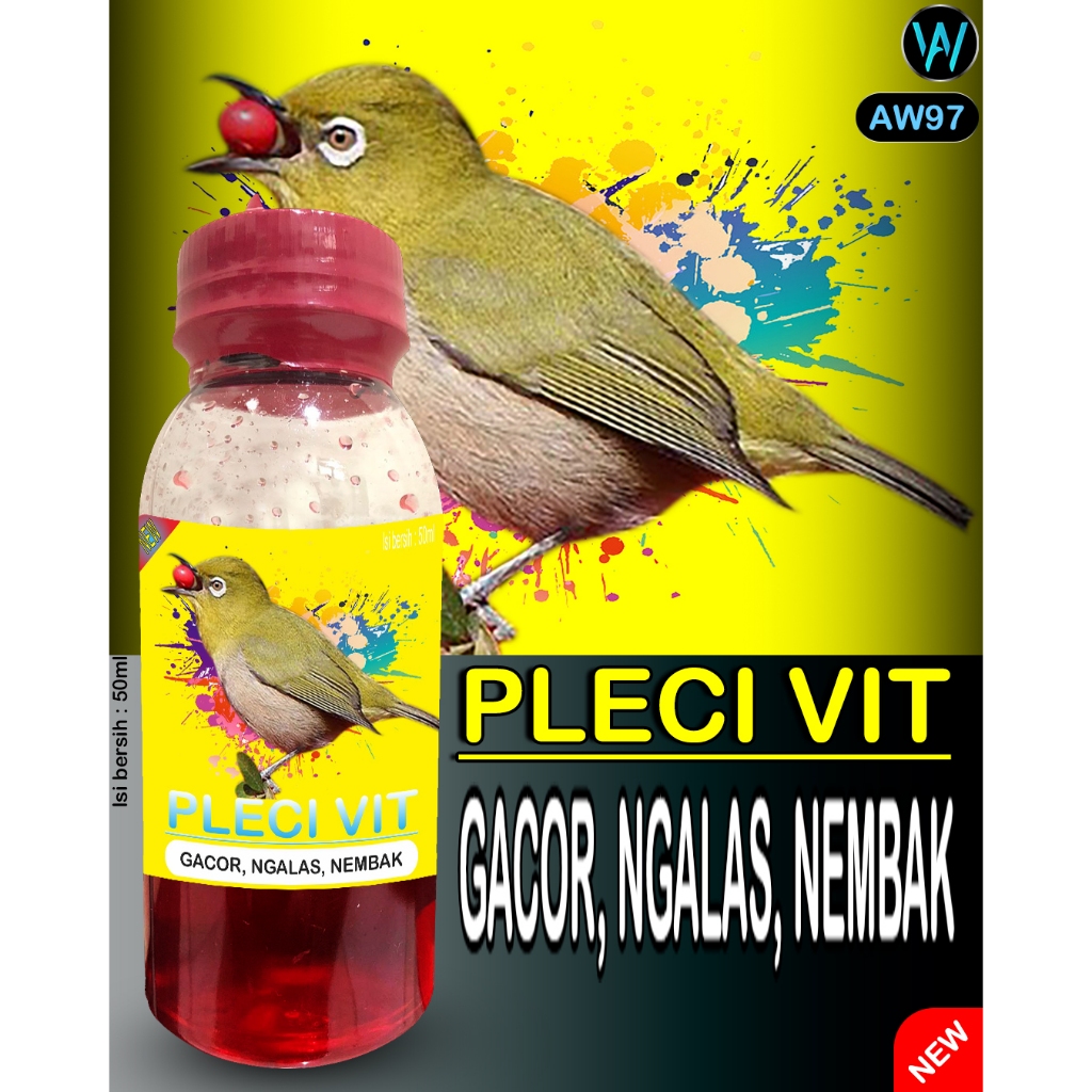 VITAMIN PLECI DOSIS TINGGI DOPING PLECI GACOR
