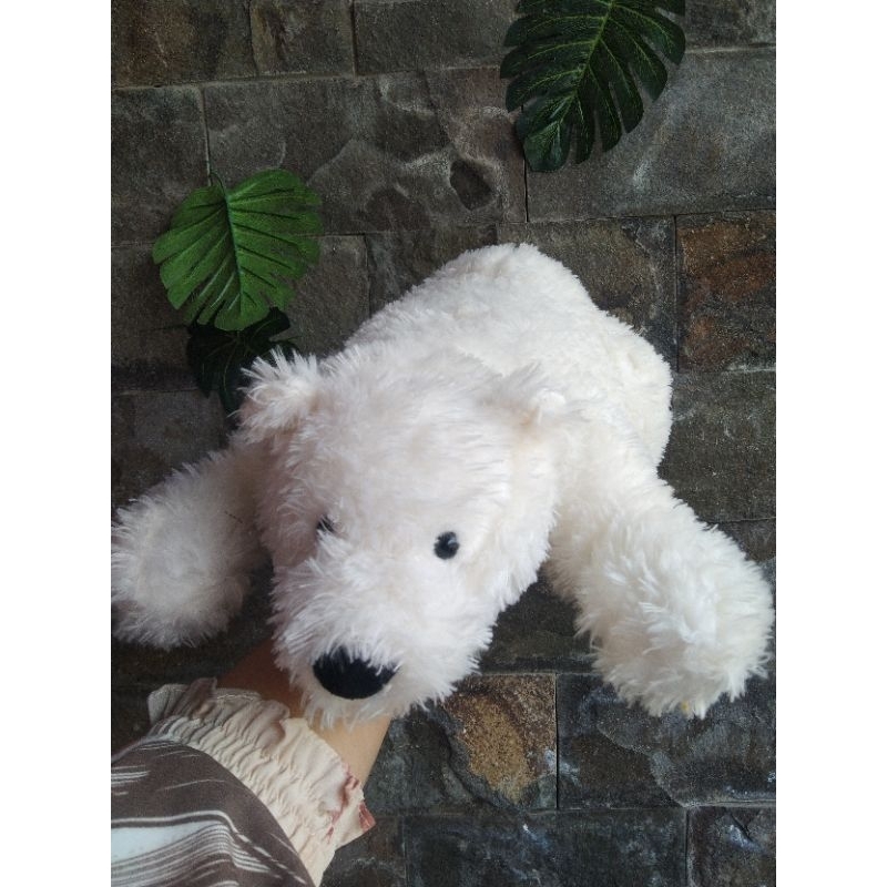nozzy polar bear by jellycat