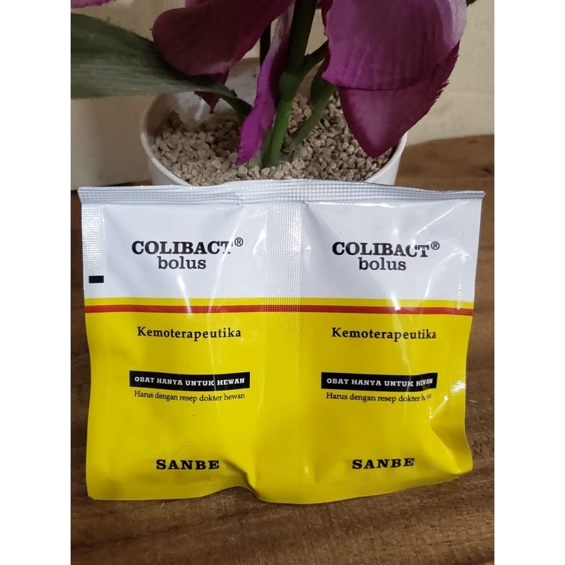 colibact bolus