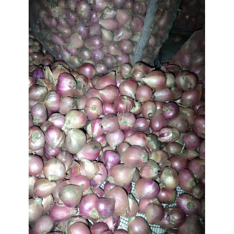

Bawang Merah Langsung dari Petani