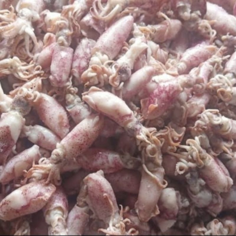 

CUMI ASIN KECIL 100g - N FRESH MART