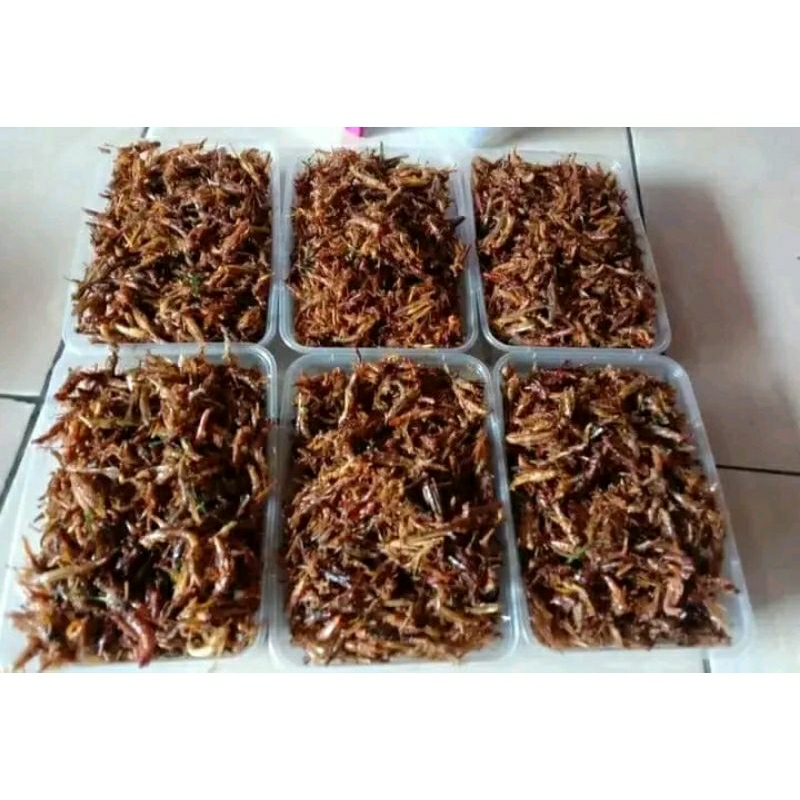 

BELALANG / Walang Utis Goreng