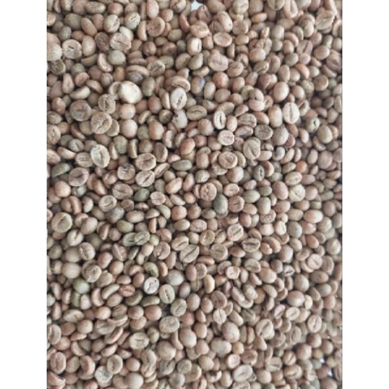 

GREEN BEAN ROBUSTA/BIJI KOPI MENTAH 1KG