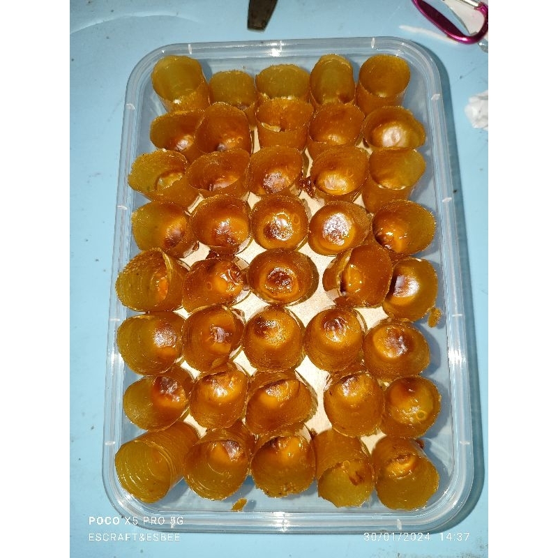 

Pot Madu / Pot Madu Itama / 60+ POT MADU