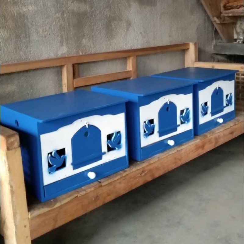 Gupon Merpati Cat Warna