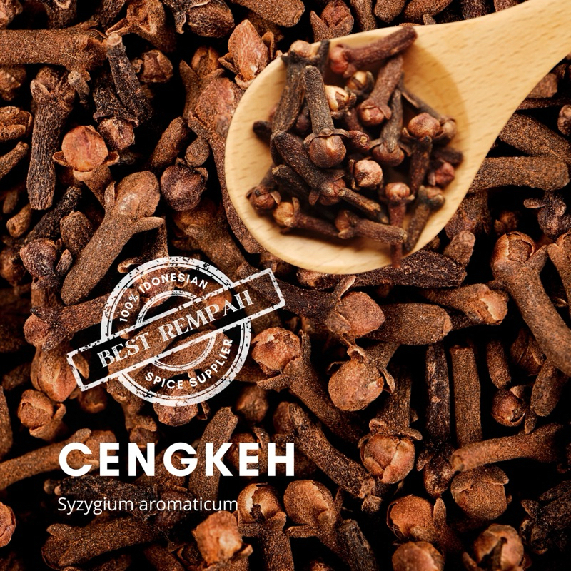 

Rempah cengkih cengkeh | Syzygium aromaticum