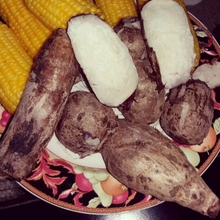 

TERMURAH Umbi Talas Pulen Segar 500gram umbi talas