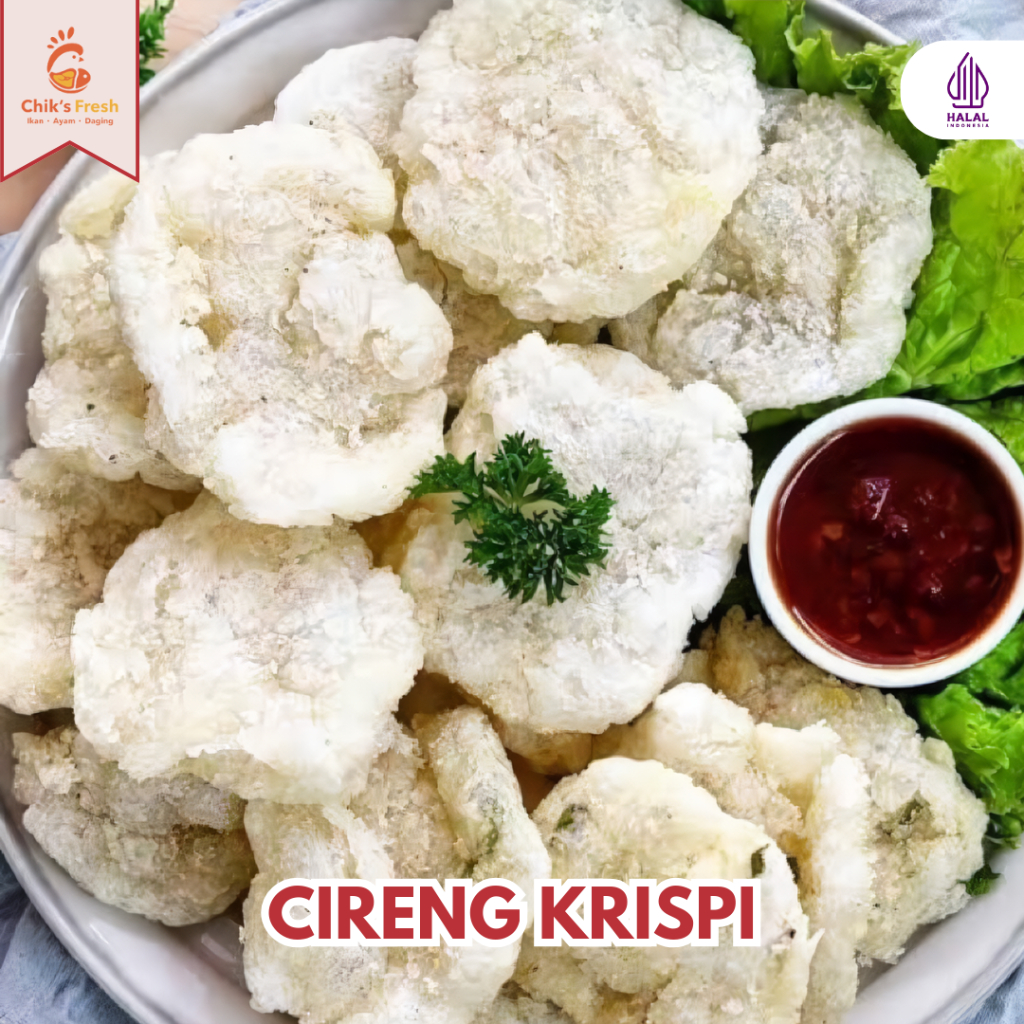 

Cireng Krispi Original Isi 20 SHAZA