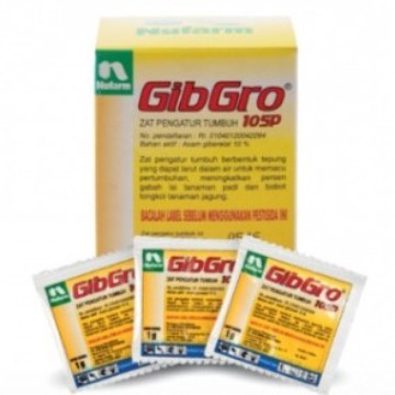 GIBGRO 10SP 5 Gr asam giberelat (GA3)