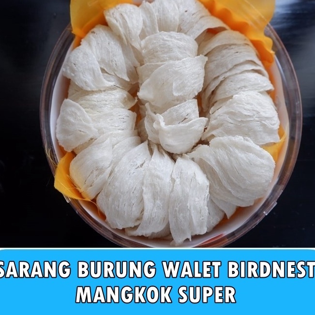 

Banyak dicari Sarang Burung Walet Bersih Birdnest Mangkok Besar Premium Kualitas Export Natural Asli Yenwo Harga Per Gram