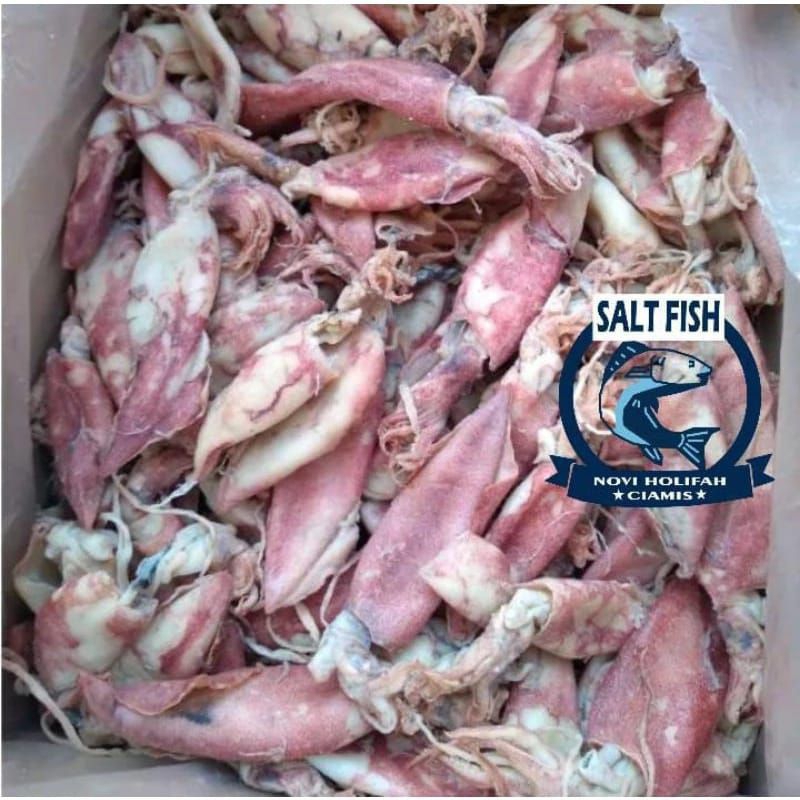 

Cumi Asin Kemasan 500 Gram Masih Fresh