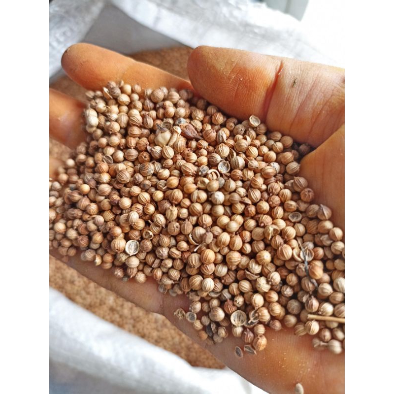 

KETUMBAR BIJI 500 GR