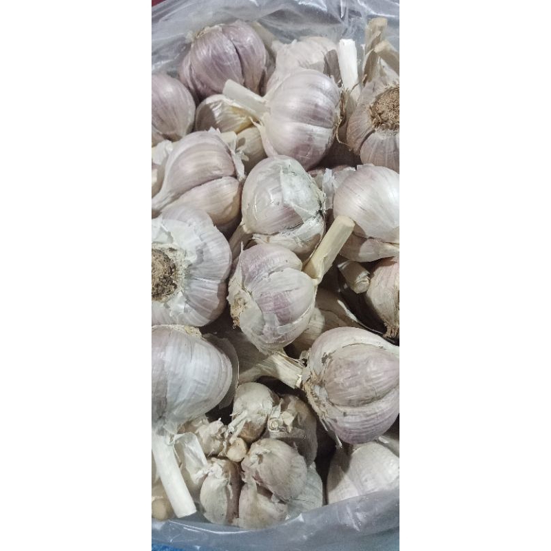 

Bawang Putih Katting 500gr