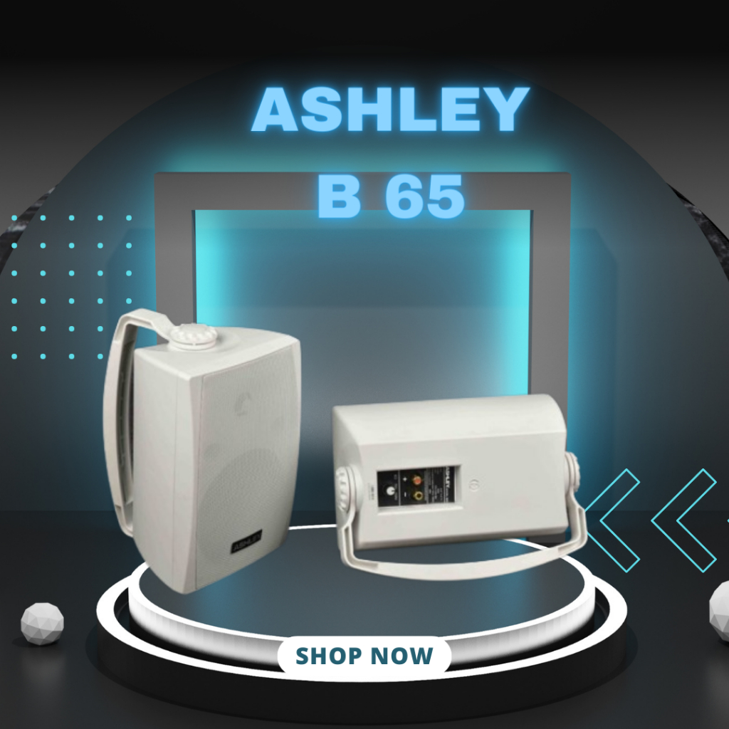 SPEAKER PASIF ASHLEY B 65 / B-65 / B65 WOOFER 6,5 INCH COLUMN SPEAKER GARANSI RESMI ASHLEY