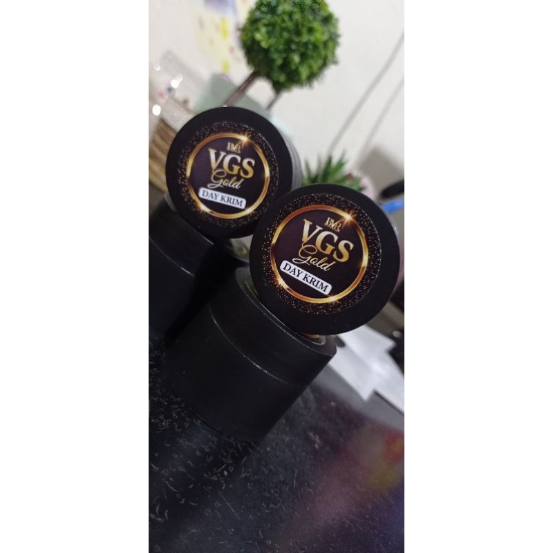 DAY CREAM VGS GOLD