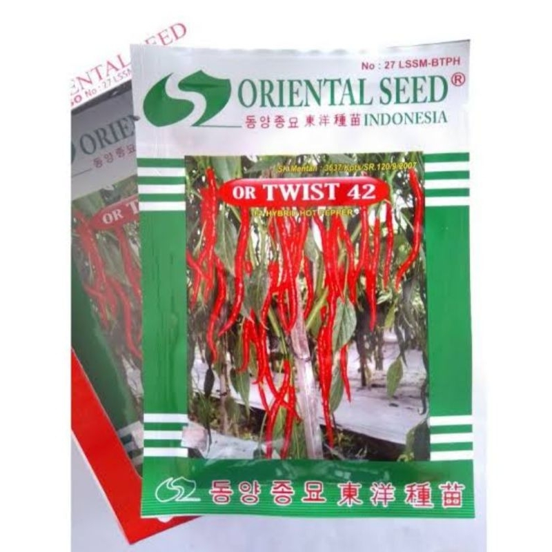 Benih Cabe kriting OR TWIST 42 F1 | dari Oriental seed ASLI