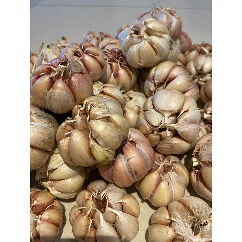 

Bawang Putih bersih sortiran