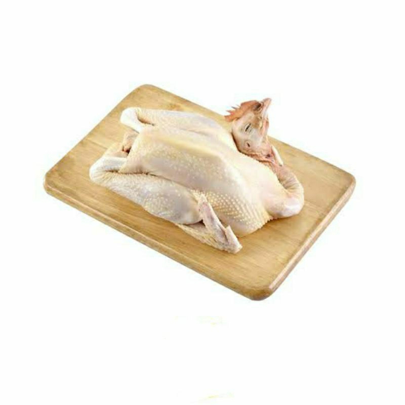 

AYAM PEJANTAN 400gram