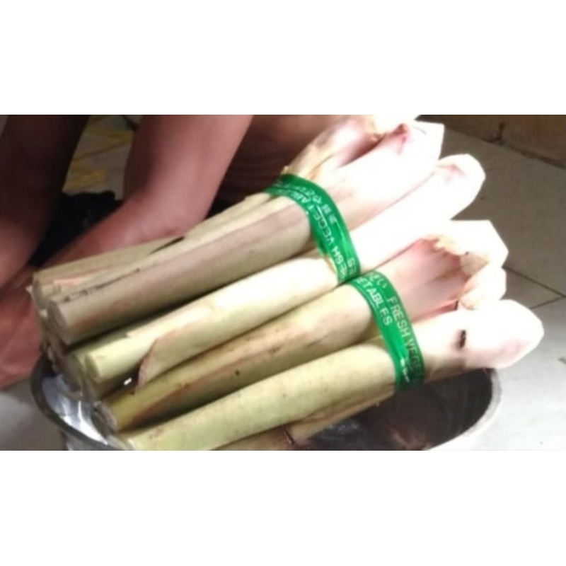 

batang talas lompong sayur 1ikat isi 4 batang udah di kupas press segar