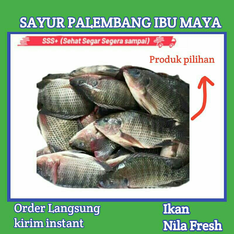 

Ikan Nila Fresh - Sayur Palembang ibu maya