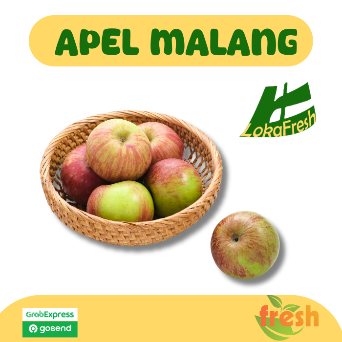 

Buah Apel Malang/ Apple Malang 1kg