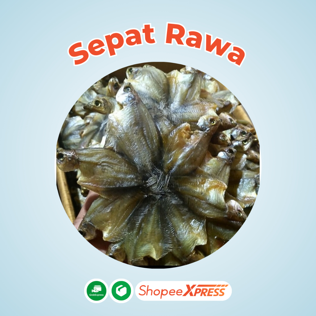 

IKAN ASIN SEPAT RAWA BINTAN /SEPAT KUKU/SEPAT BINTANG GRADE A 500G