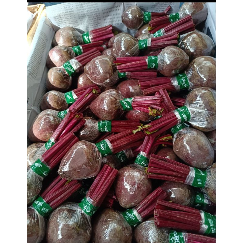 

Buah Bit/Beetroot 1 kg FRESH