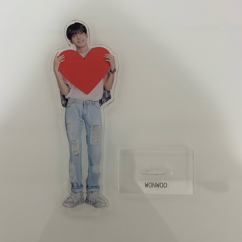 Seventeen Wonwoo Ideal Cut Acrylic Standee