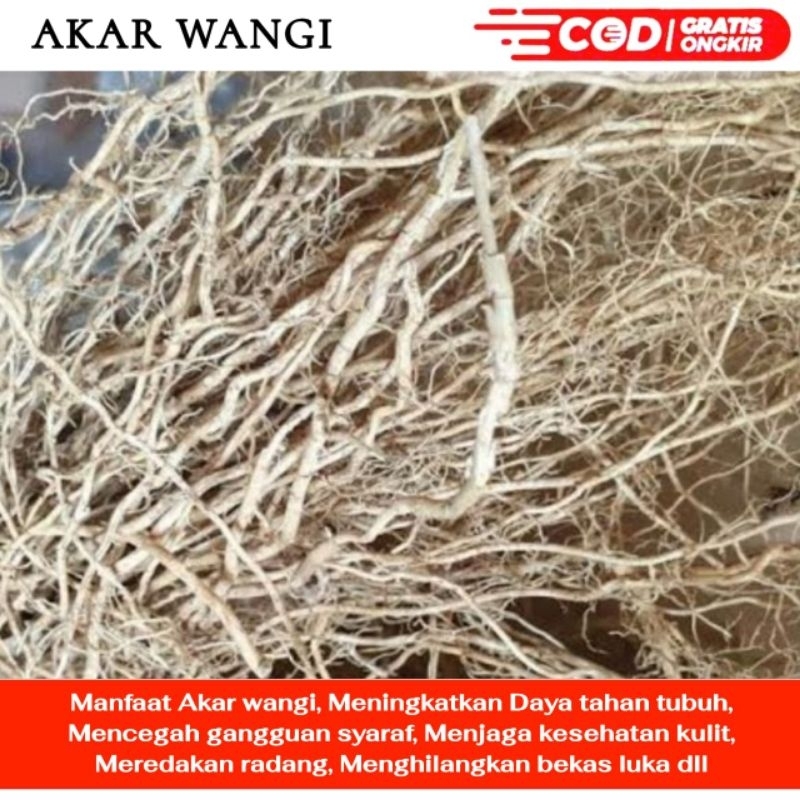 

Akar wangi 1kg