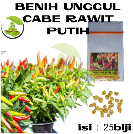 Benih Cabe Rawit Setan Benih Bibit Cabai Rawit konsumsi Benih