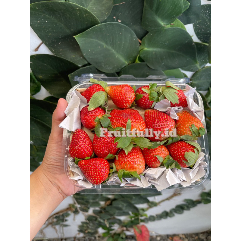 Strawberry Grade A Jumbo