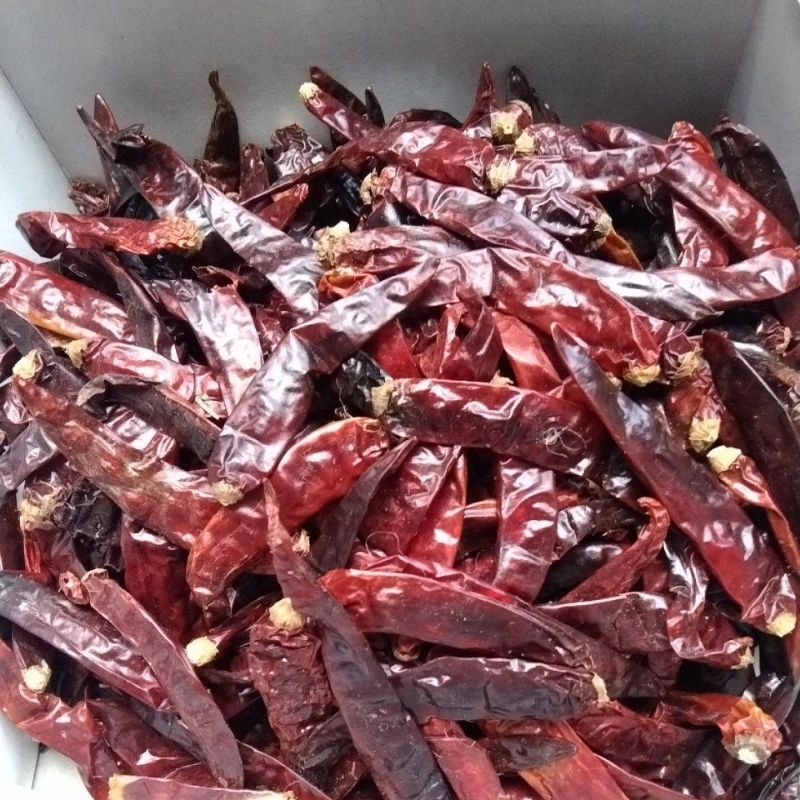 

(1kg)cabe merah besar(tidak pedas)kering India kwalitas super Tampa tangkai .