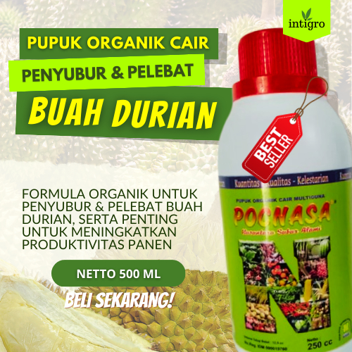 Pupuk Durian Supaya Cepat Berbuah / Pupuk Buah Durian / Pupuk Durian Cepat Besar / Pupuk Durian Agar