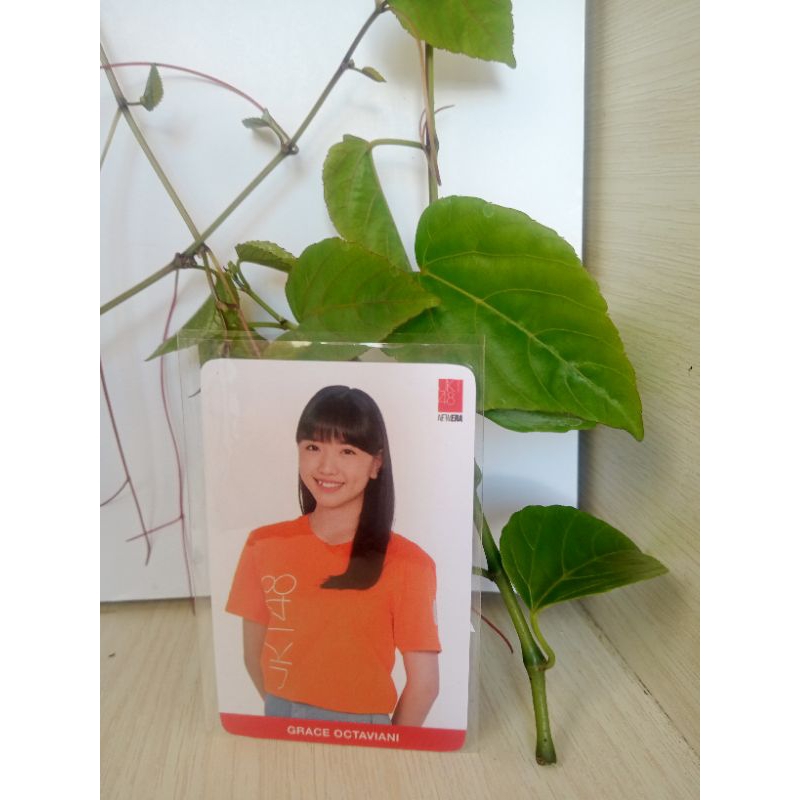 photocard JKT48 Oficial nice to see you GRACIE