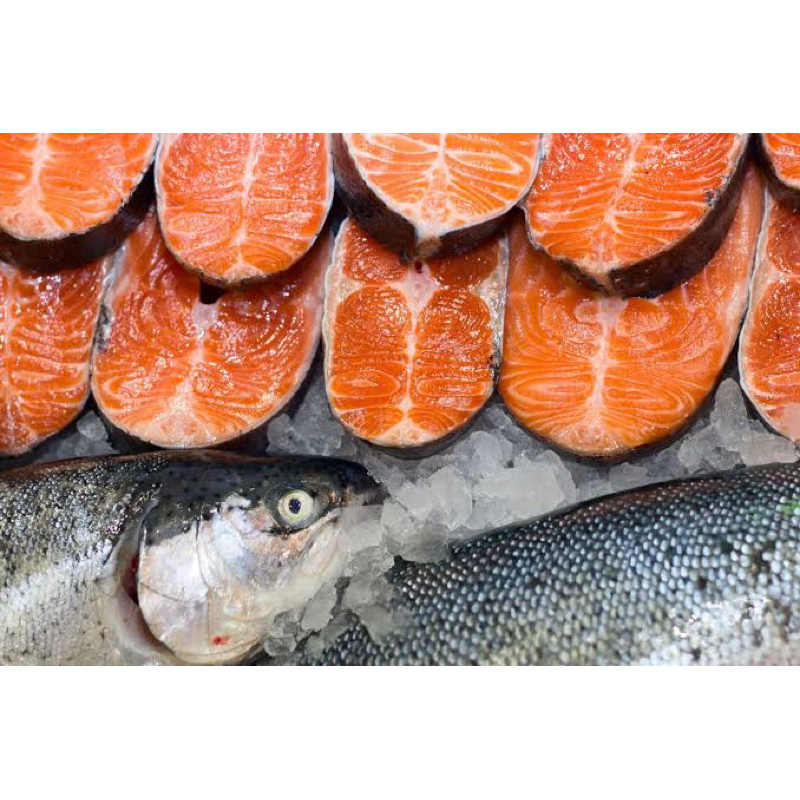 

Ikan salmon fresh pengiriman instan bandung