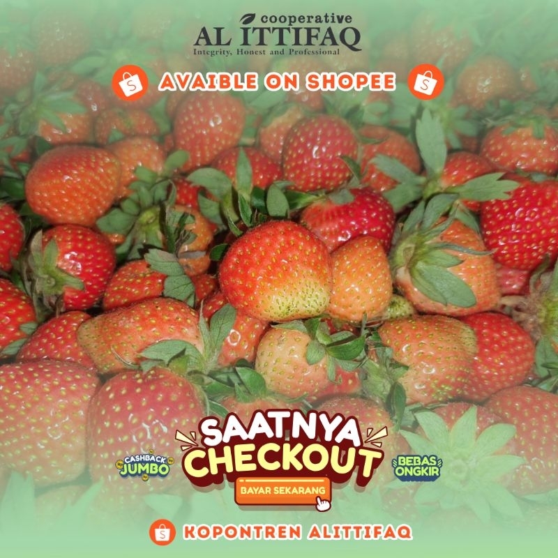 

Buah Strawberry Segar 250gr Murah Berkualitas Terbaik Kopontren Al Ittifaq Bandung