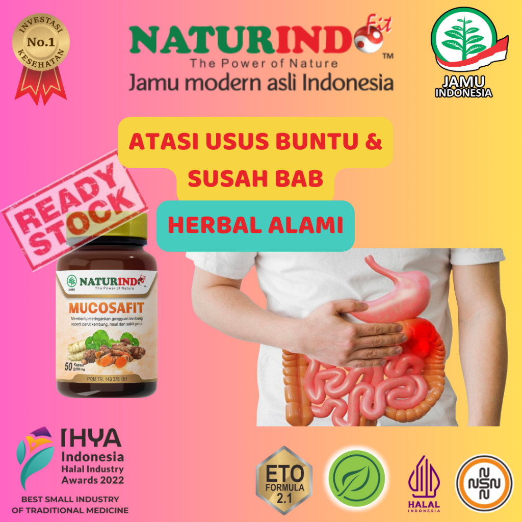 Mucosafit Usus Buntu  Radang Usus Herbal Usus Buntu Sakit Usus Buntu Tanpa Operasi Naturindo