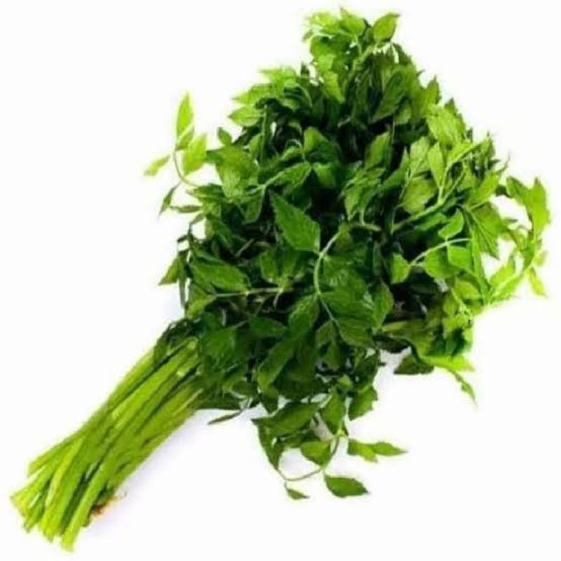 

Daun Tespong