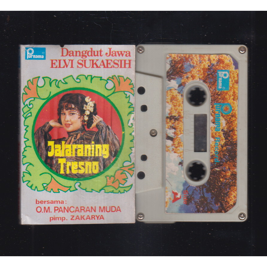 KASET DANGDUT JAWA ELVI SUKAESIH BERSAMA OM PANCARAN MUDA