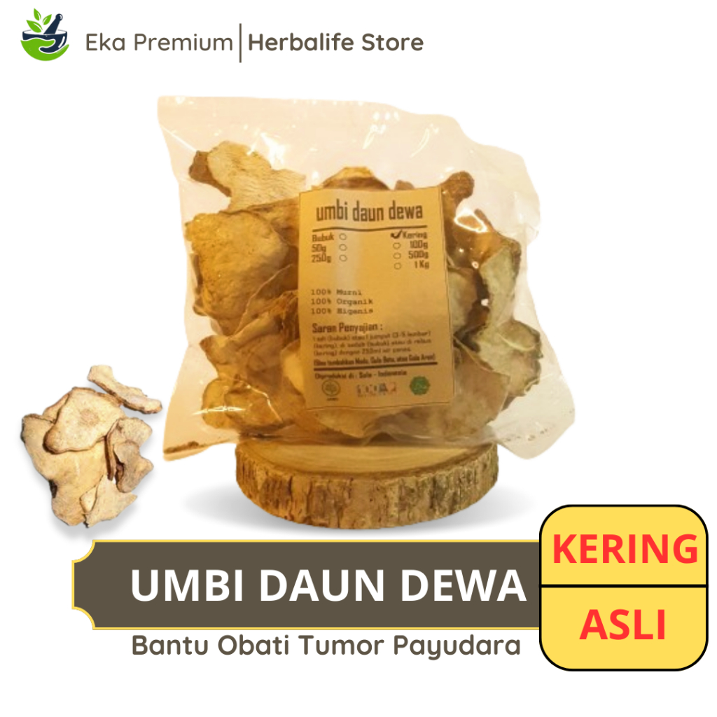 

UMBI DAUN DEWA KERING Ramuan Rempah Herbal Asli Jamu Minuman Alami Murni Tradisional Gynura Divaricata