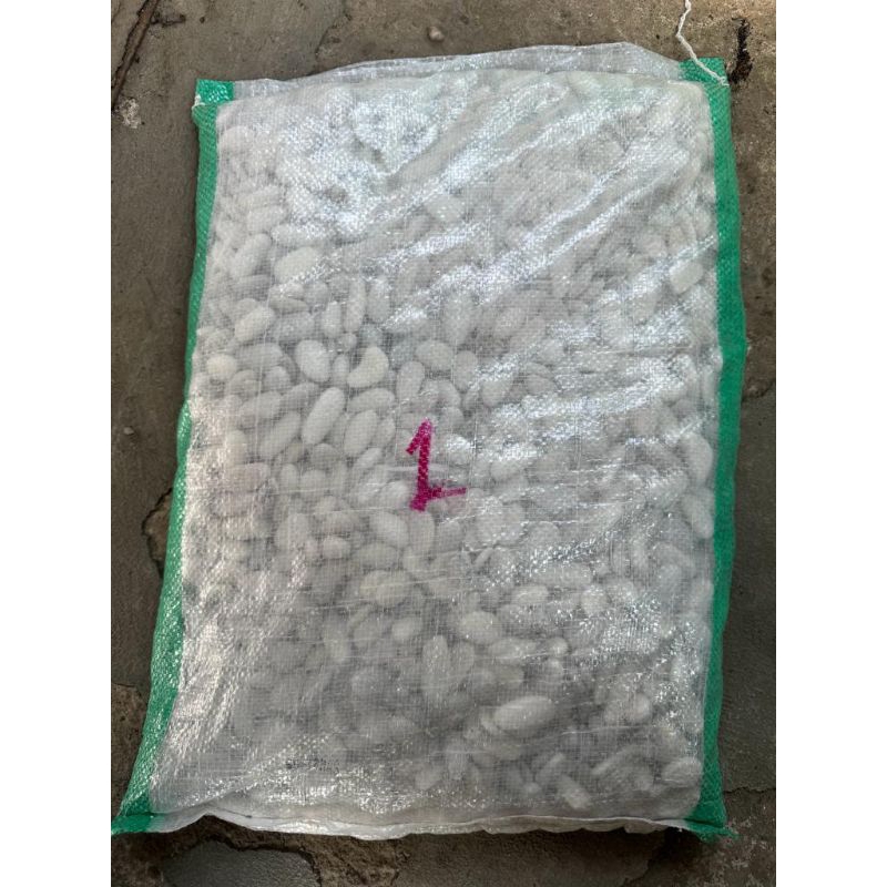 Batu koral putih 9,10kg