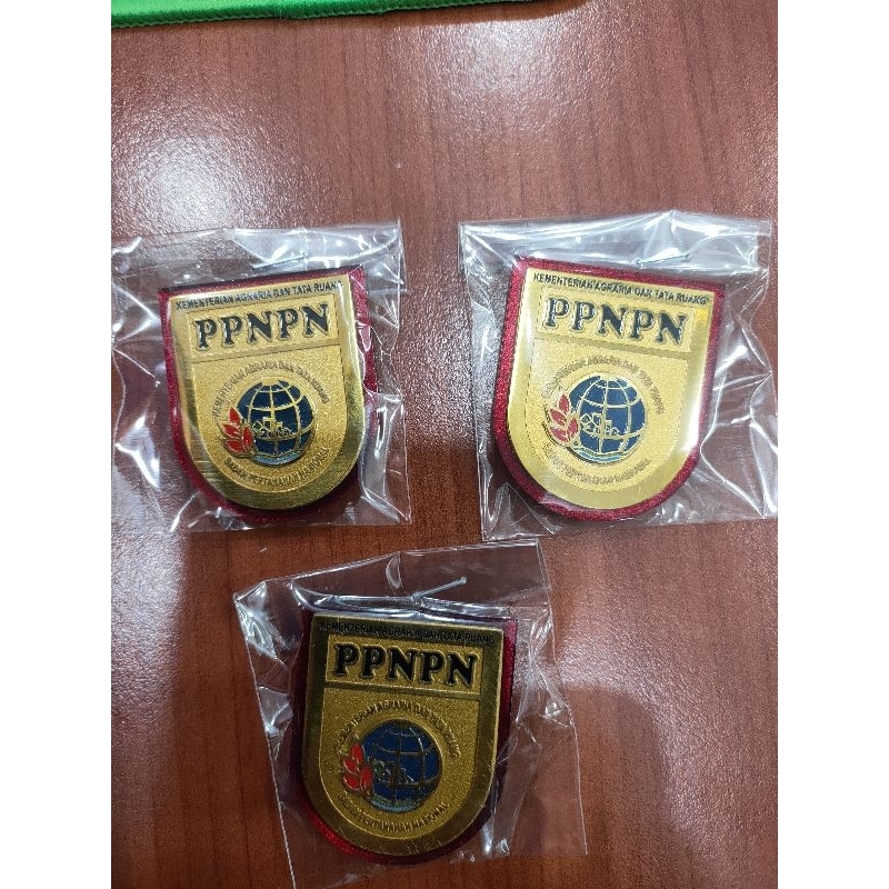 pin PPNPN