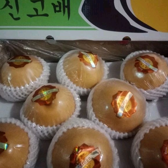 BUAH PEAR/PEARS SINGO FRESH 1 DUS