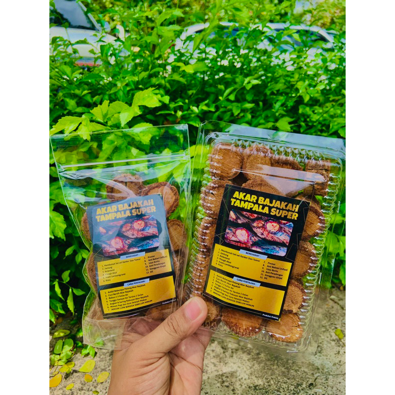 

AKAR BAJAKAH TAMPALA SUPER 100% asli KALIMANTAN