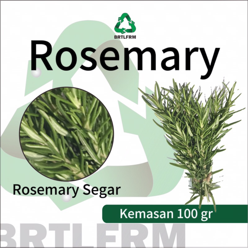 

Rosemary Segar Kemasan 100 gr