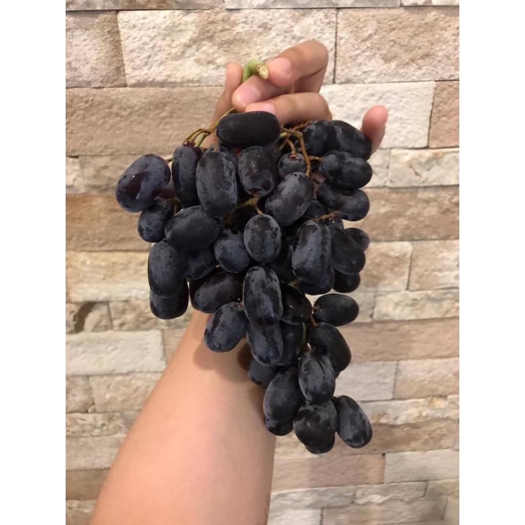 

Anggur Black Autumn Royal Buah Import Buah Segar