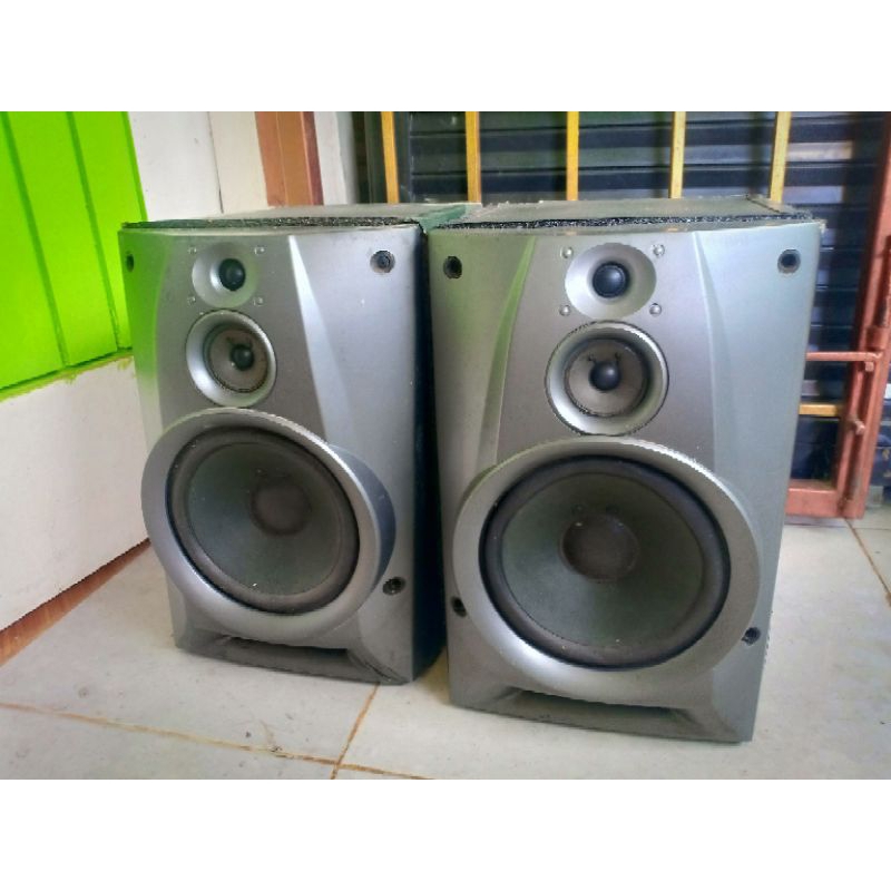 speaker sony 6 inch buillup1 pasang